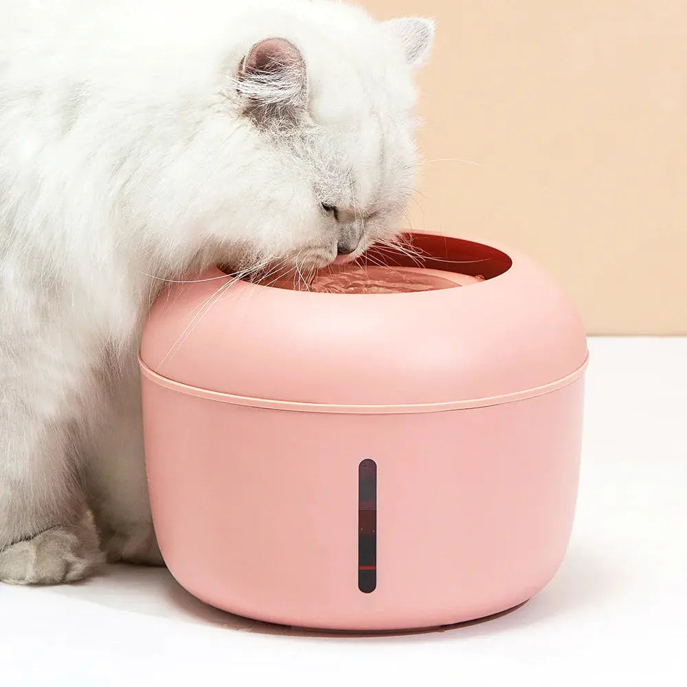 Energy-saving, quiet pet drinking bowl, designed for a peaceful drinking experience.