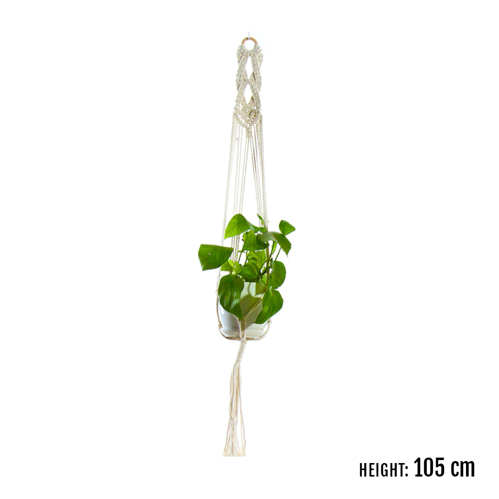 Rope plant hanger for indoor use, adding a touch of bohemian style to your decor.