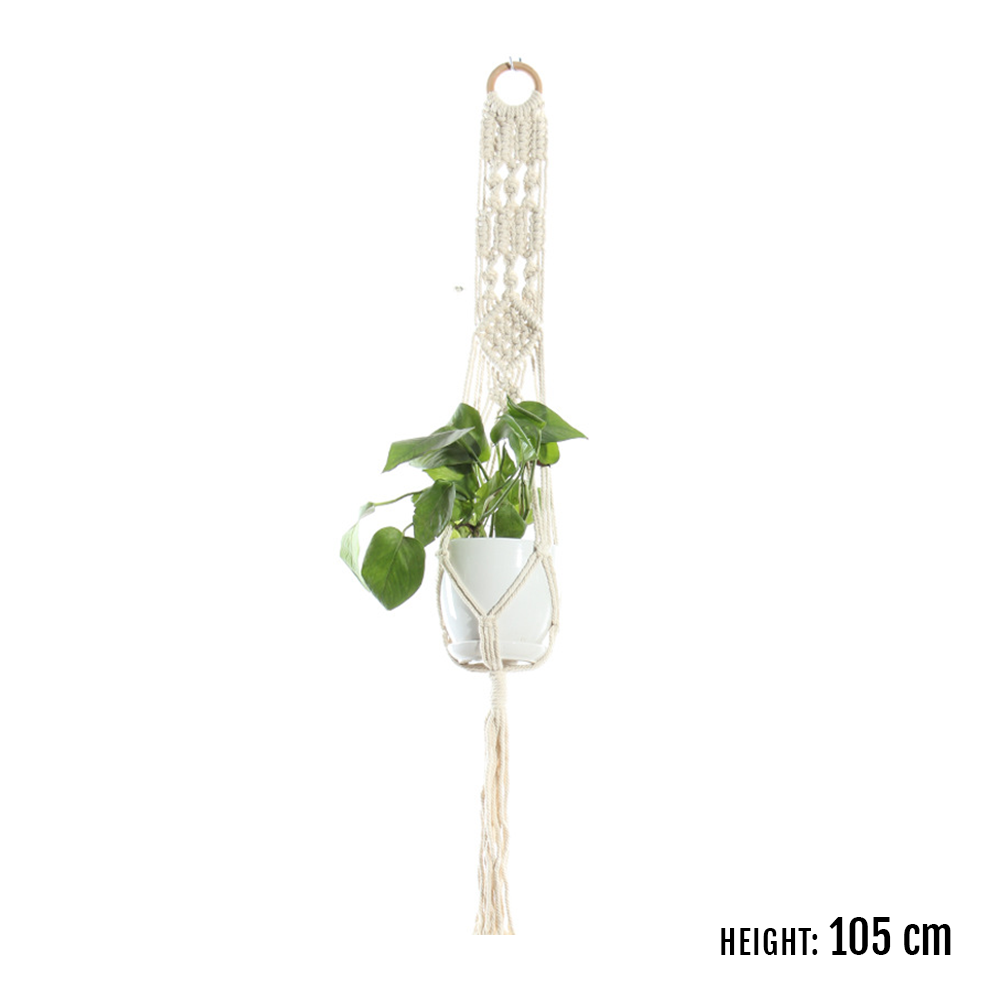 Rope indoor plant hanger, a simple and elegant solution for displaying your plants.