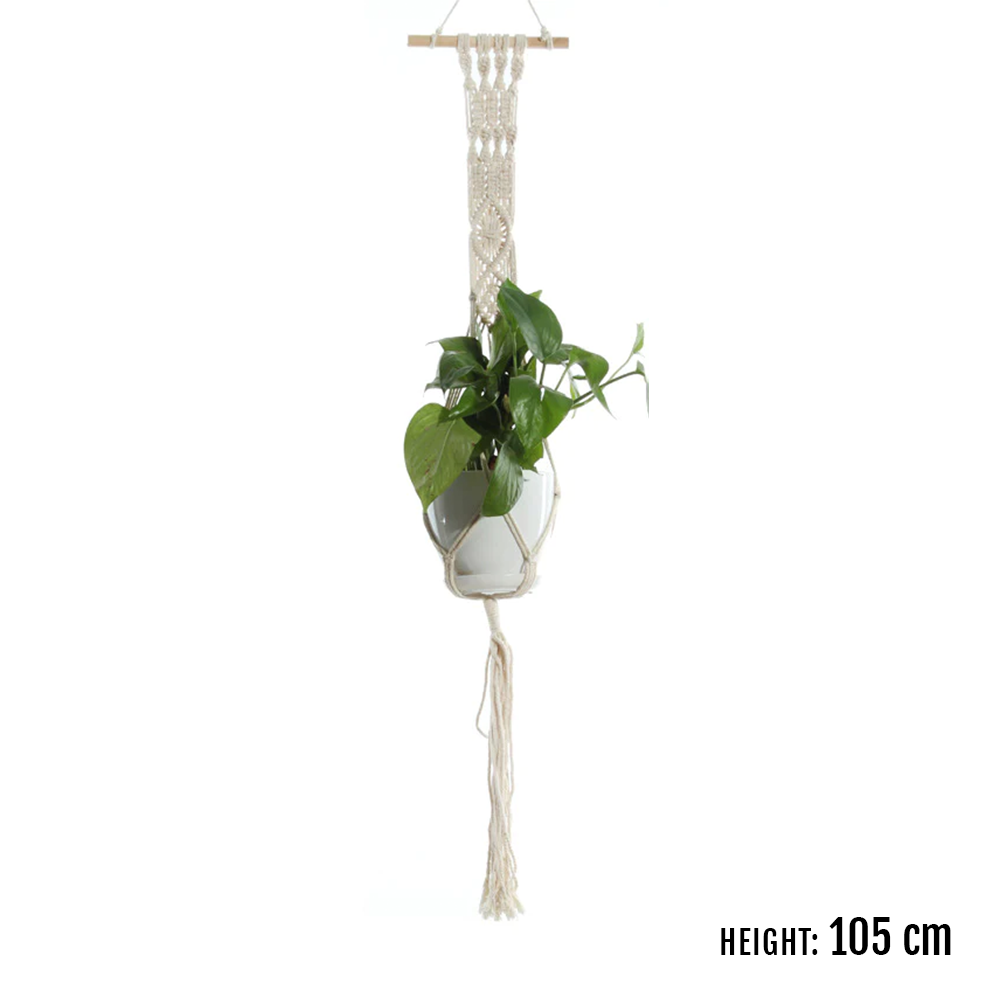 Rope plant sling for indoor use, offering a natural and rustic look.