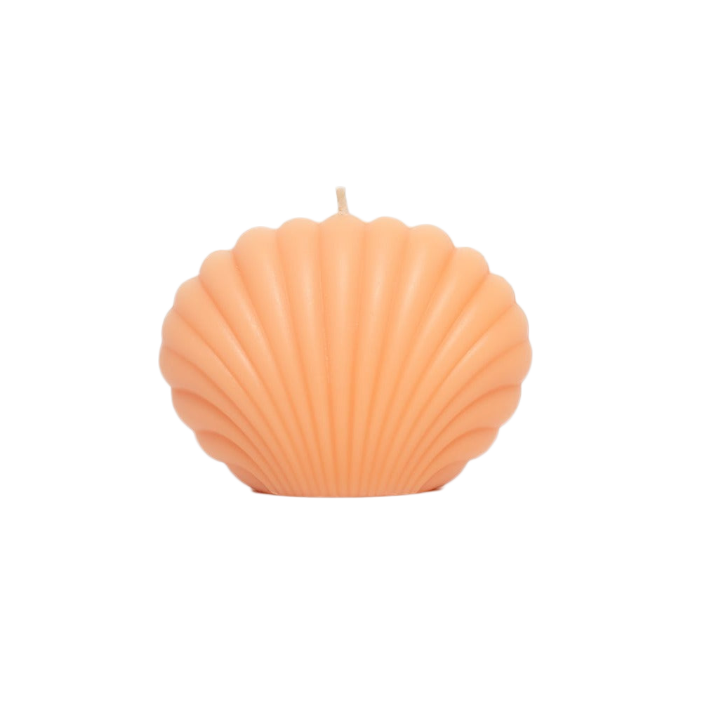 Shell scented candle, a decorative and aromatic accent for your home.