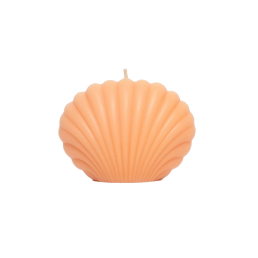 Shell scented candle, a decorative and aromatic accent for your home.