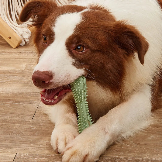 Chewing Dog Toy - Image #1